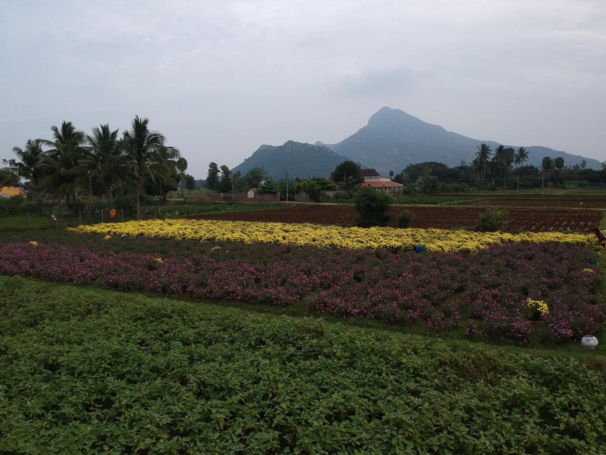 Tiruvannāmalai Rpm Home Stay מראה חיצוני תמונה